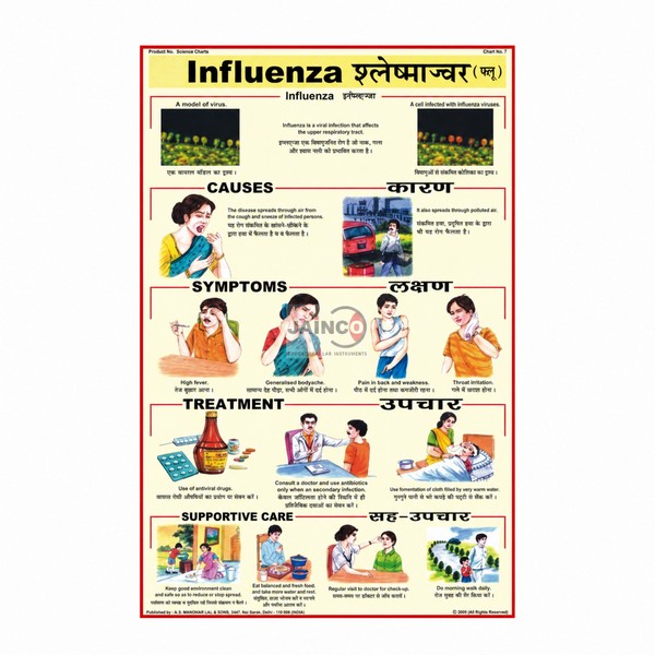 Influenza Chart